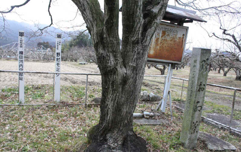 シルバーの城郭城跡の散歩道 07揖斐郡大野町